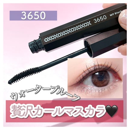 マスカラ WP/3650/マスカラを使ったクチコミ(1枚目)