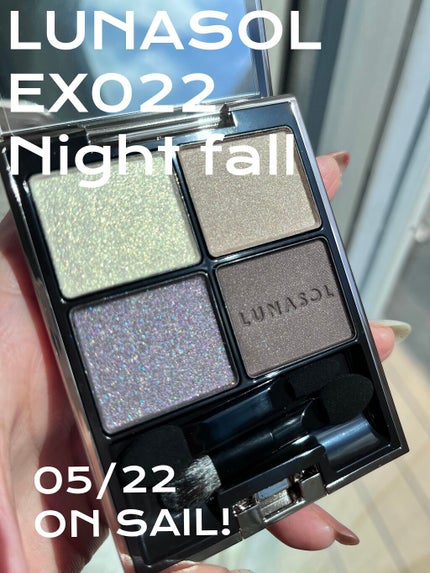 アイカラーレーション EX22 Nightfall(限定発売)/LUNASOL/アイシャドウパレットを使ったクチコミ(1枚目)