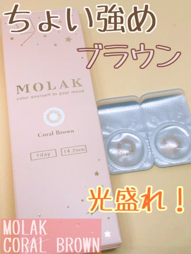 MOLAK 1day コーラルブラウン/MOLAK/ワンデー（１DAY）カラコンの画像