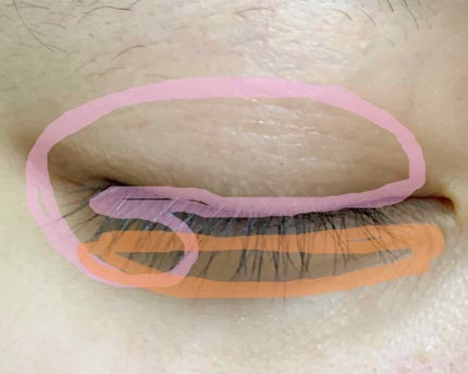 ノーズ&アイブロウパウダー/CEZANNE/パウダーアイブロウを使ったクチコミ(3枚目)