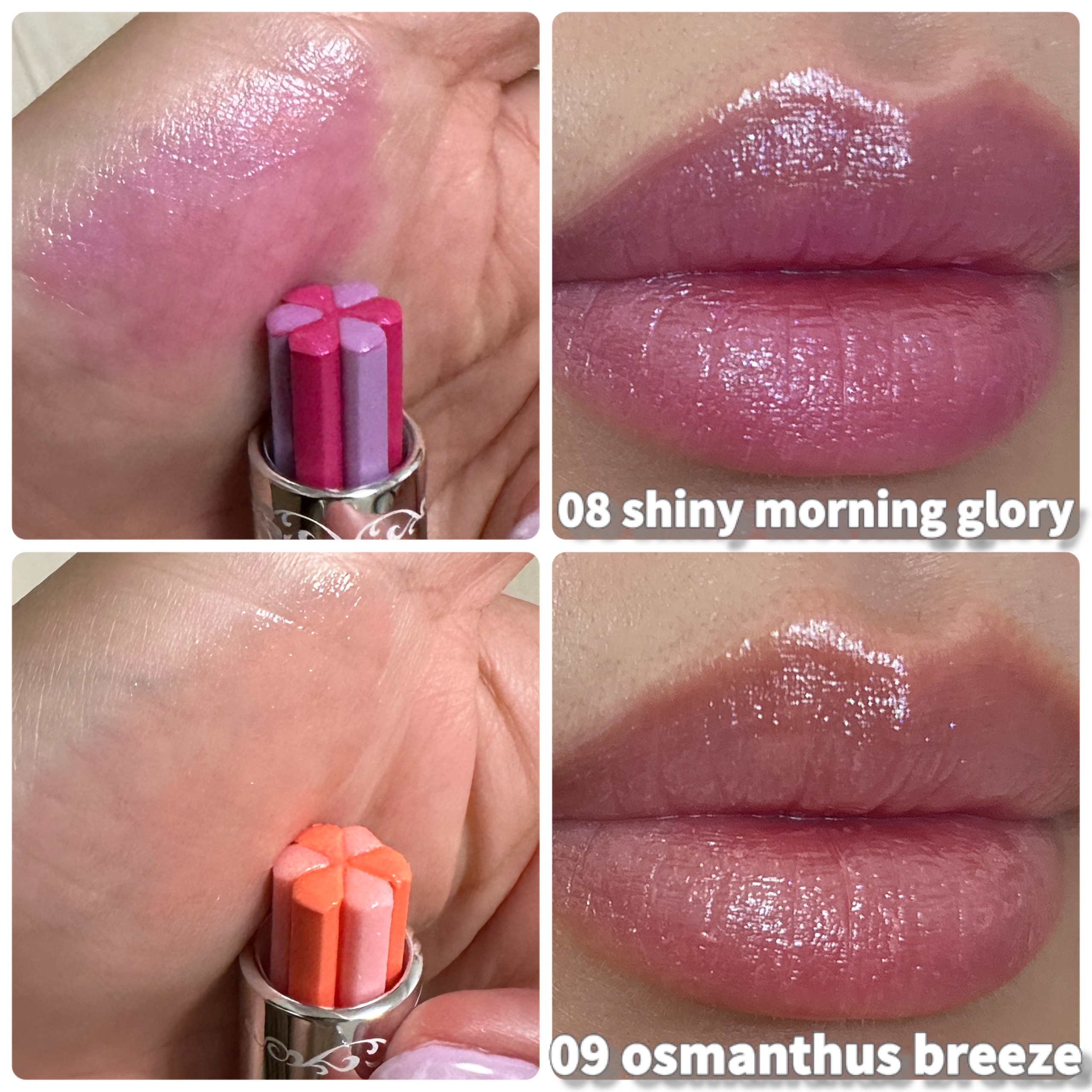 ジルスチュアート ブルーム リップ キャンディ 08 shiny morning glory/JILL STUART/口紅を使ったクチコミ（2枚目）