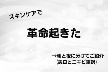 白潤プレミアム薬用浸透美白化粧水/肌ラボ/化粧水を使ったクチコミ（1枚目）