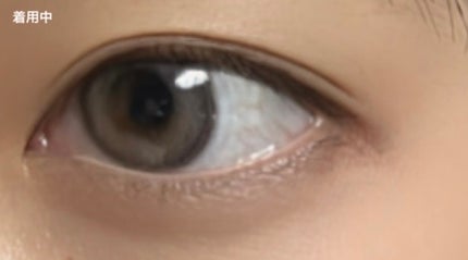 Angelcolor Bambi Series 1day /AngelColor/ワンデー(1DAY)カラコンを使ったクチコミ(3枚目)