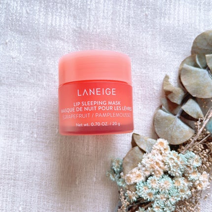 リップスリーピングマスク/LANEIGE/リップバームを使ったクチコミ(1枚目)