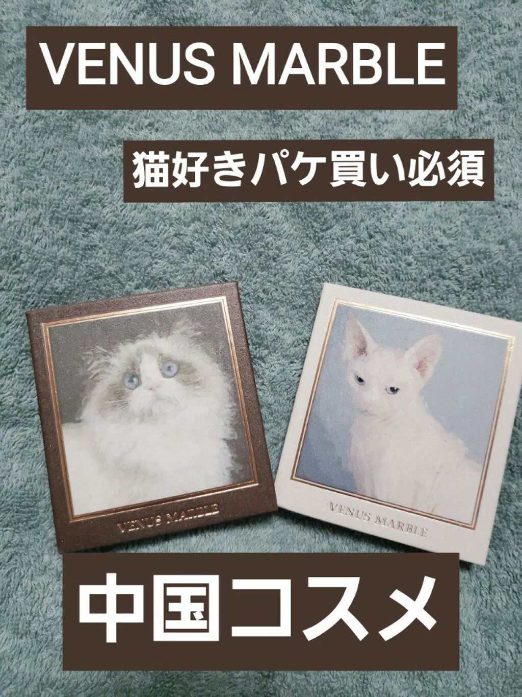 Venus Marble アイシャドウキャットシリーズ/Venus Marble/アイシャドウパレットを使ったクチコミ(1枚目)