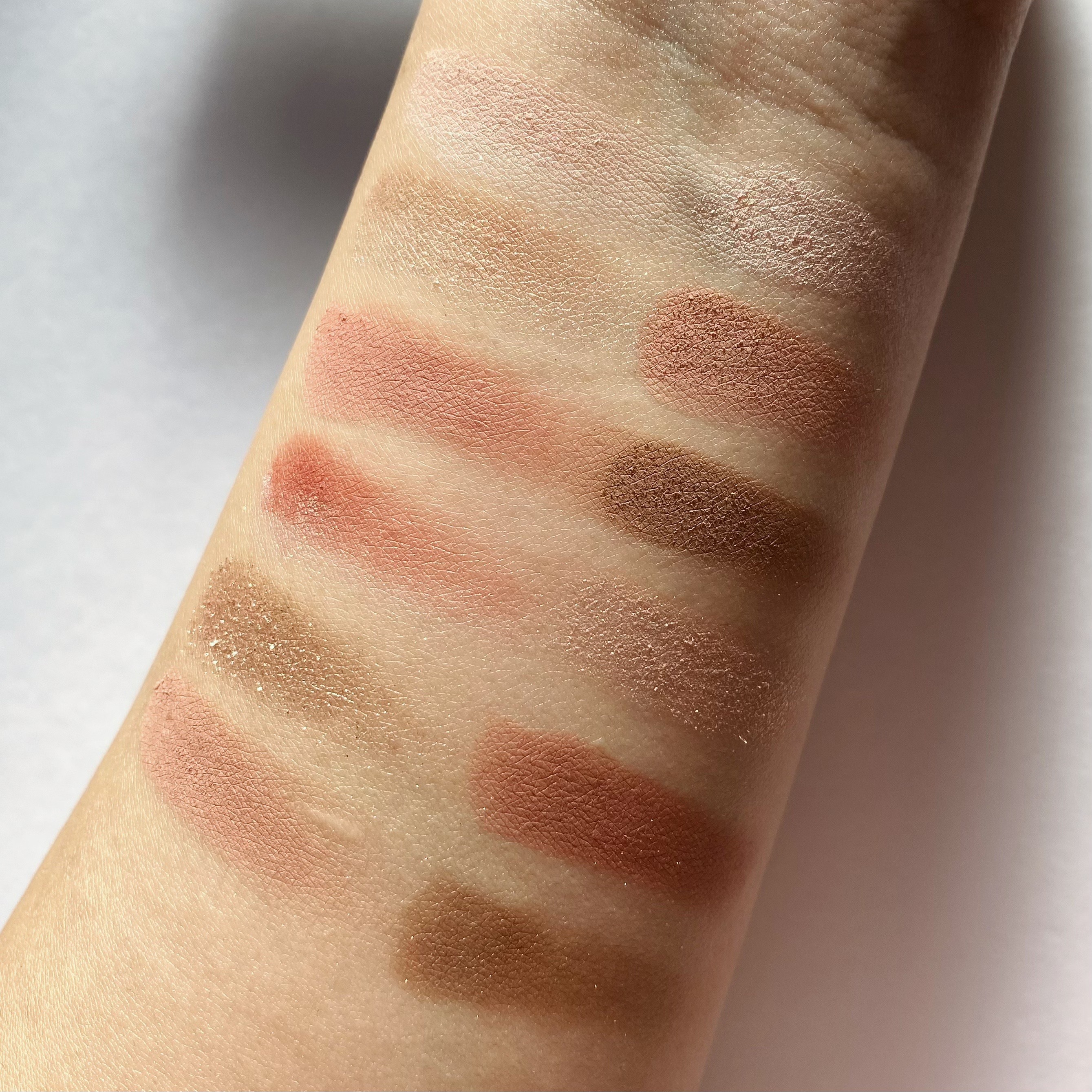 2023年冬新作アイシャドウパレット】エクスプローラ12色 動物アイ