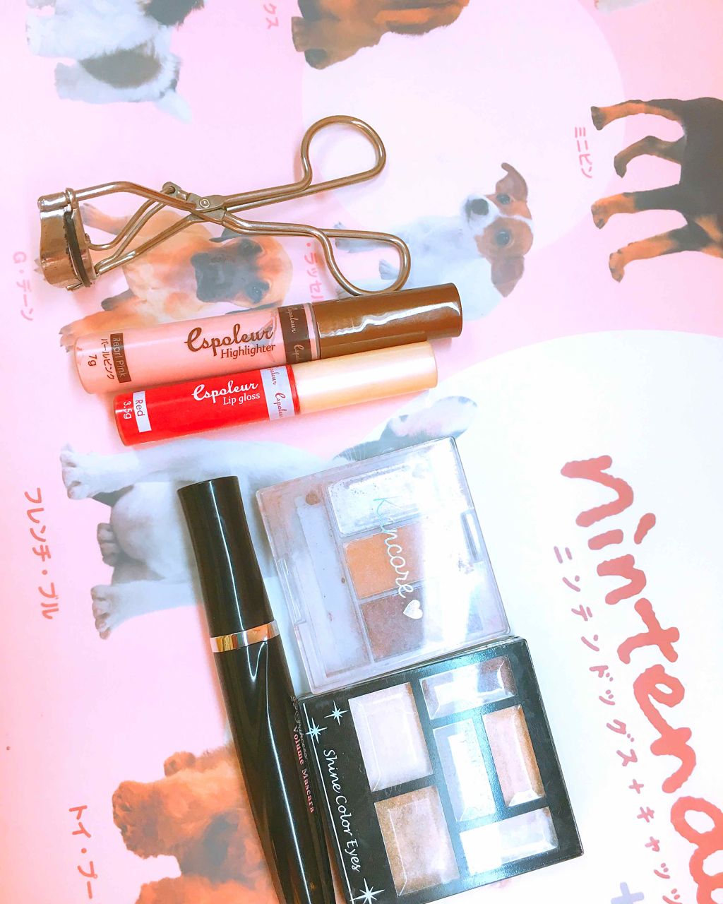 shiny_rouge_ccb on LIPS 「これでメイクしたいです!(初心者なんで....)基本でいいので..」(3枚目)