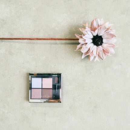 キスミー フェルム スタイリングアイパレット/キスミー フェルム/アイシャドウパレットを使ったクチコミ(2枚目)