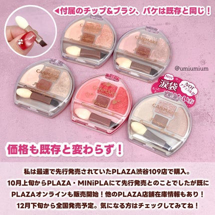 プランぷくコーデアイズ/キャンメイク/パウダーアイシャドウを使ったクチコミ(8枚目)