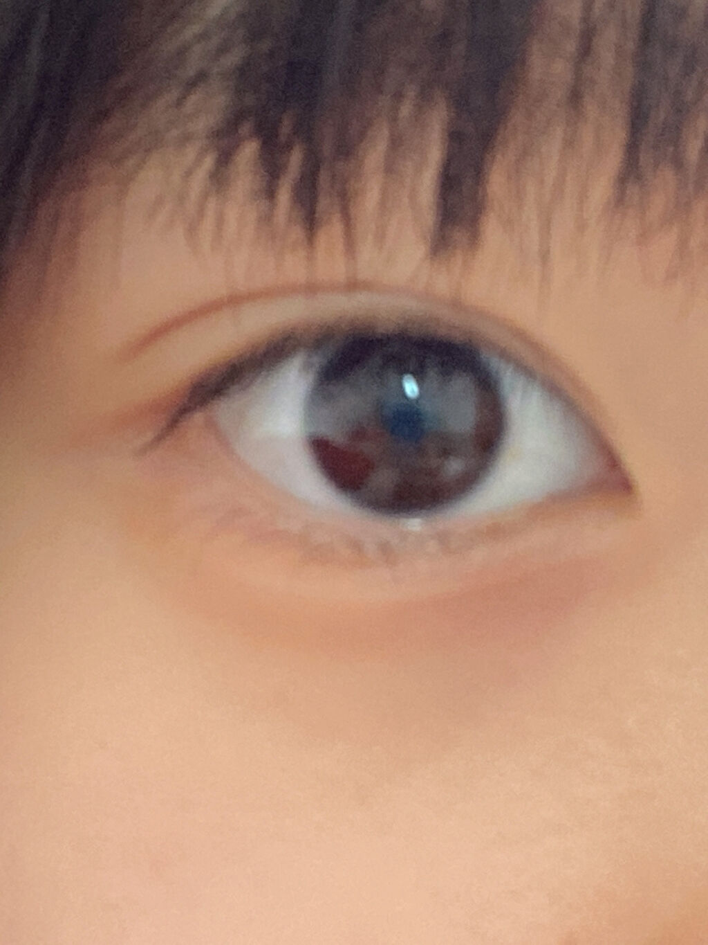 パーフェクトマルチアイズ/キャンメイク/アイシャドウパレットを使ったクチコミ（2枚目）