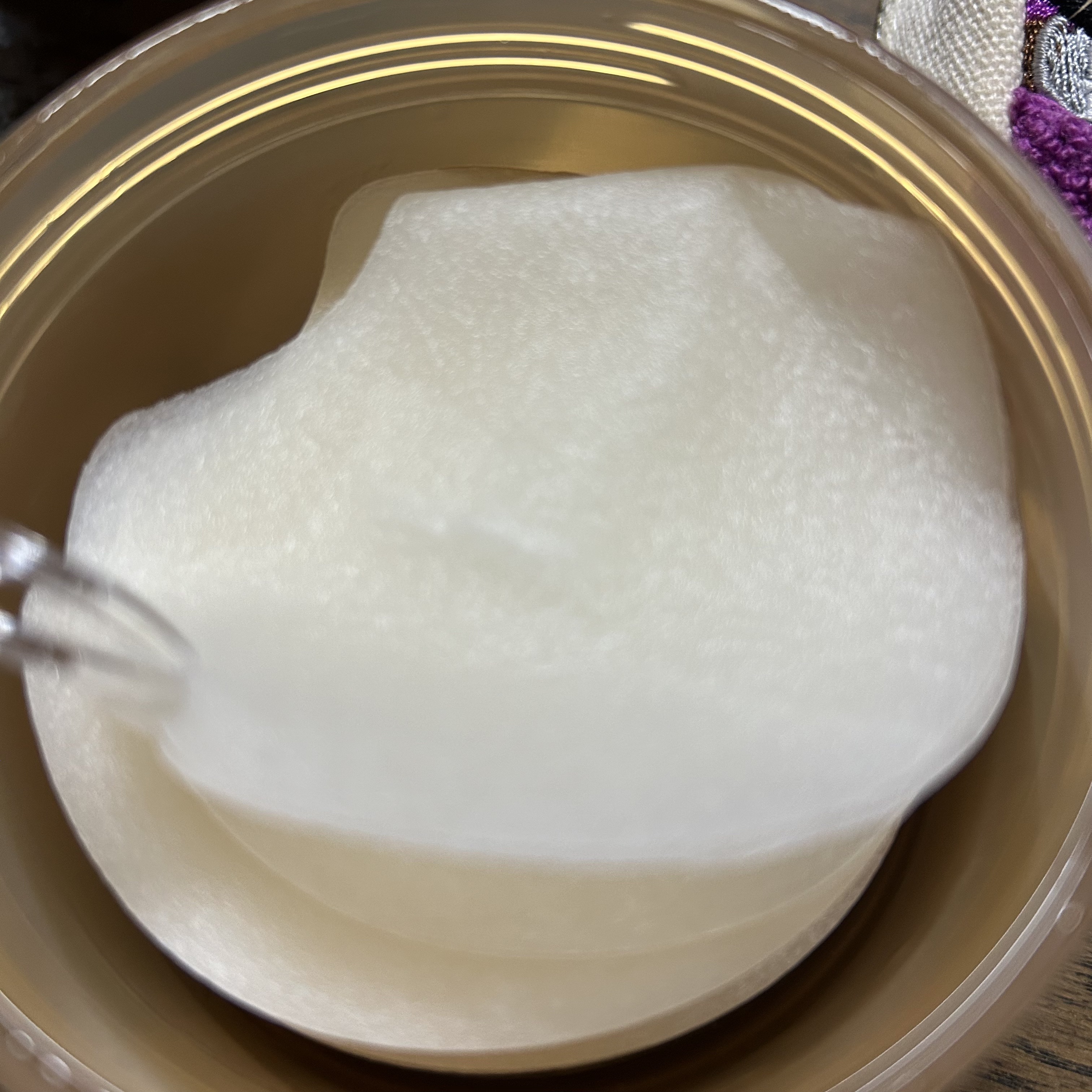 センテラ ウォーターゲルシートアンプルマスク/SKIN1004/シートマスク・パックを使ったクチコミ（2枚目）