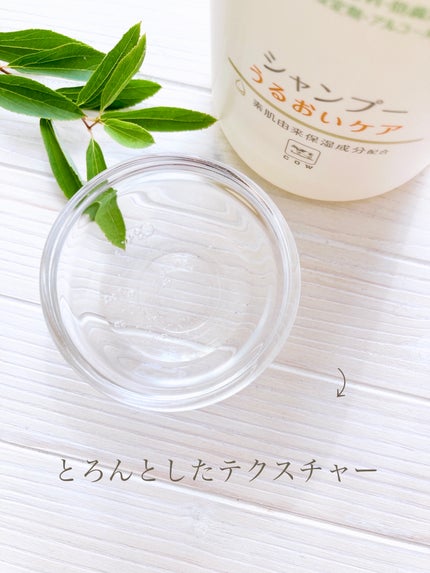 シャンプー・トリートメント しっとり/カウブランド無添加/市販シャンプーを使ったクチコミ(4枚目)