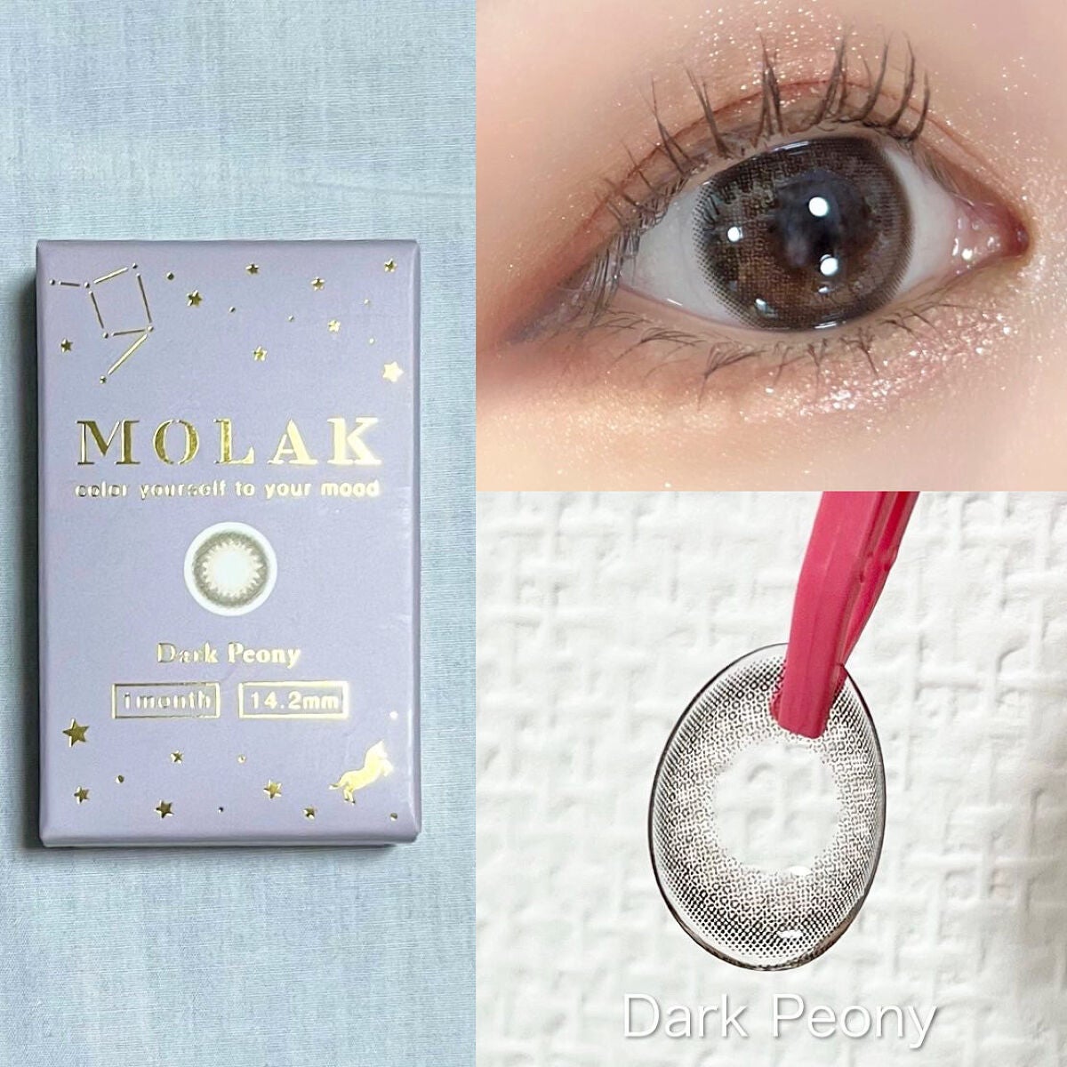 MOLAK 1day/MOLAK/ワンデー(1DAY)カラコンを使ったクチコミ(5枚目)