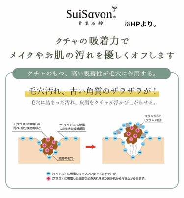 琉球のホワイトマリンクレイ洗顔石鹸/SuiSavon/洗顔フォームを使ったクチコミ（6枚目）