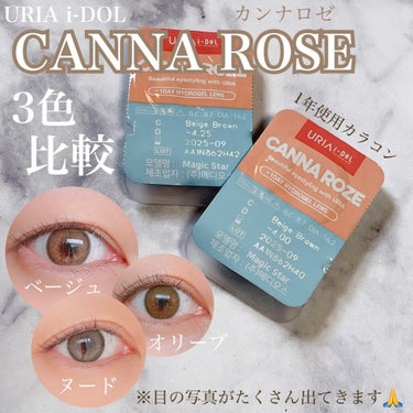 CANNA ROZE (カンナロゼ)/i-DOL/カラーコンタクトレンズを使ったクチコミ（1枚目）