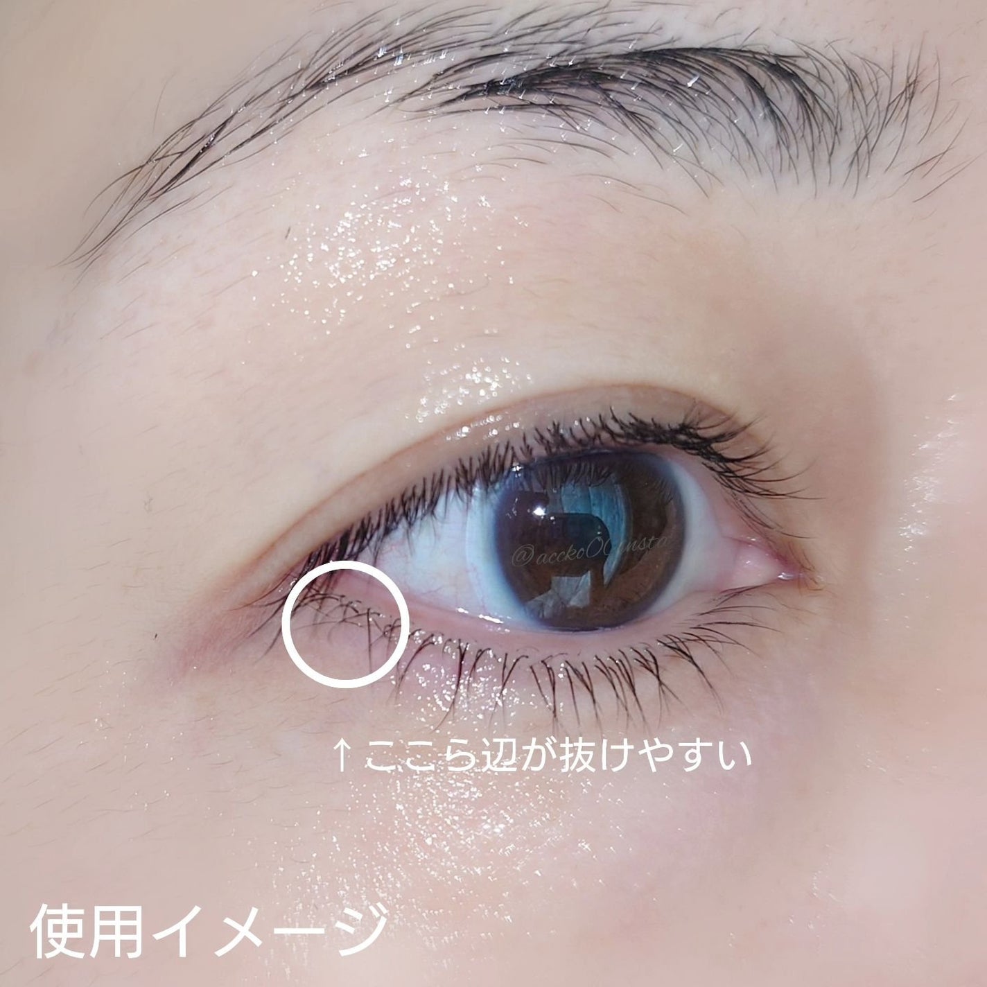 ラッシュリッチアイラッシュセラム/ロート製薬/まつげ美容液を使ったクチコミ(7枚目)