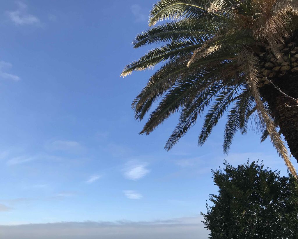 アレルスクリーン/IHADA/その他スキンケアを使ったクチコミ(1枚目)