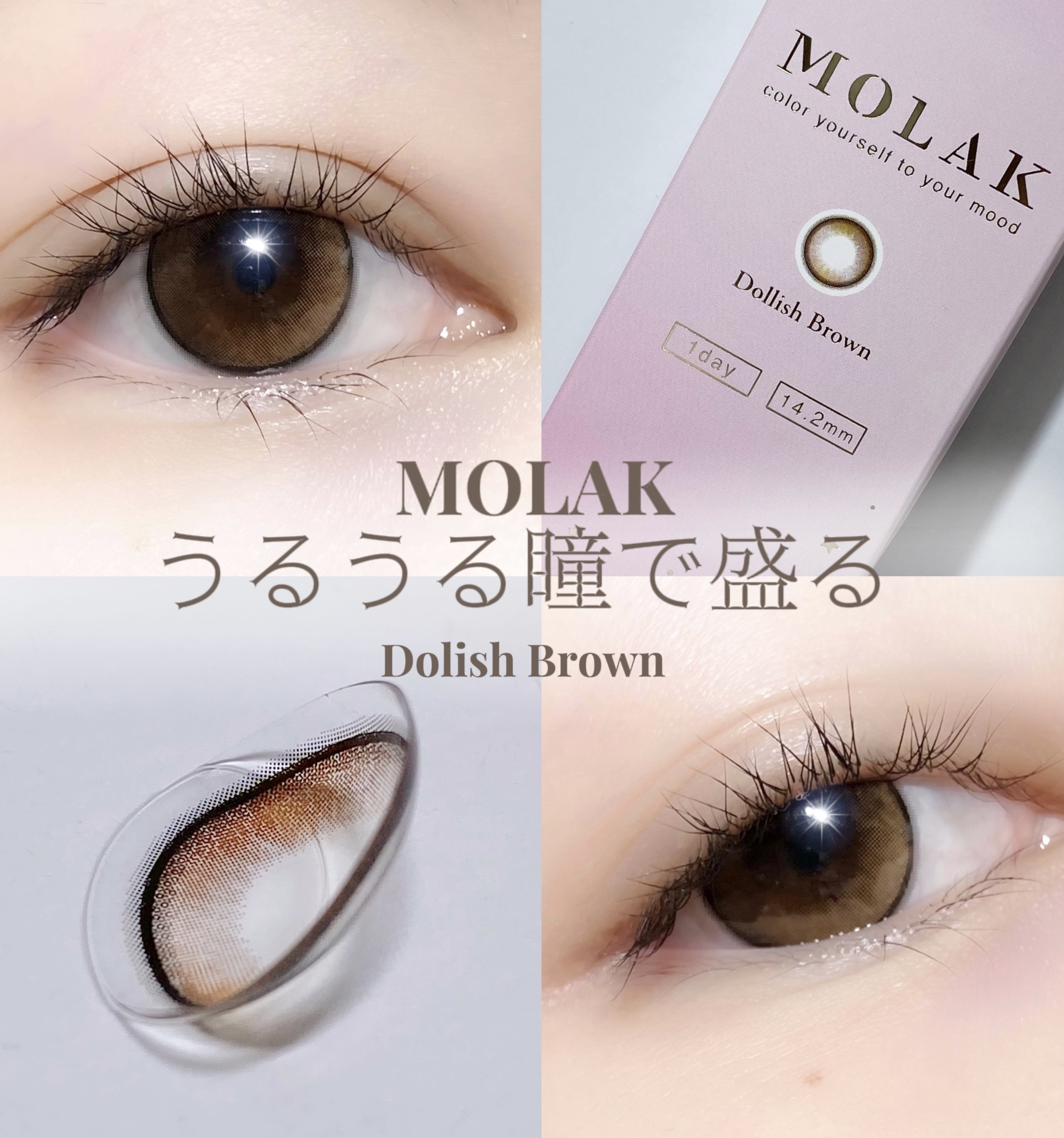 MOLAK 1day/MOLAK/ワンデー（１DAY）カラコンを使ったクチコミ（1枚目）