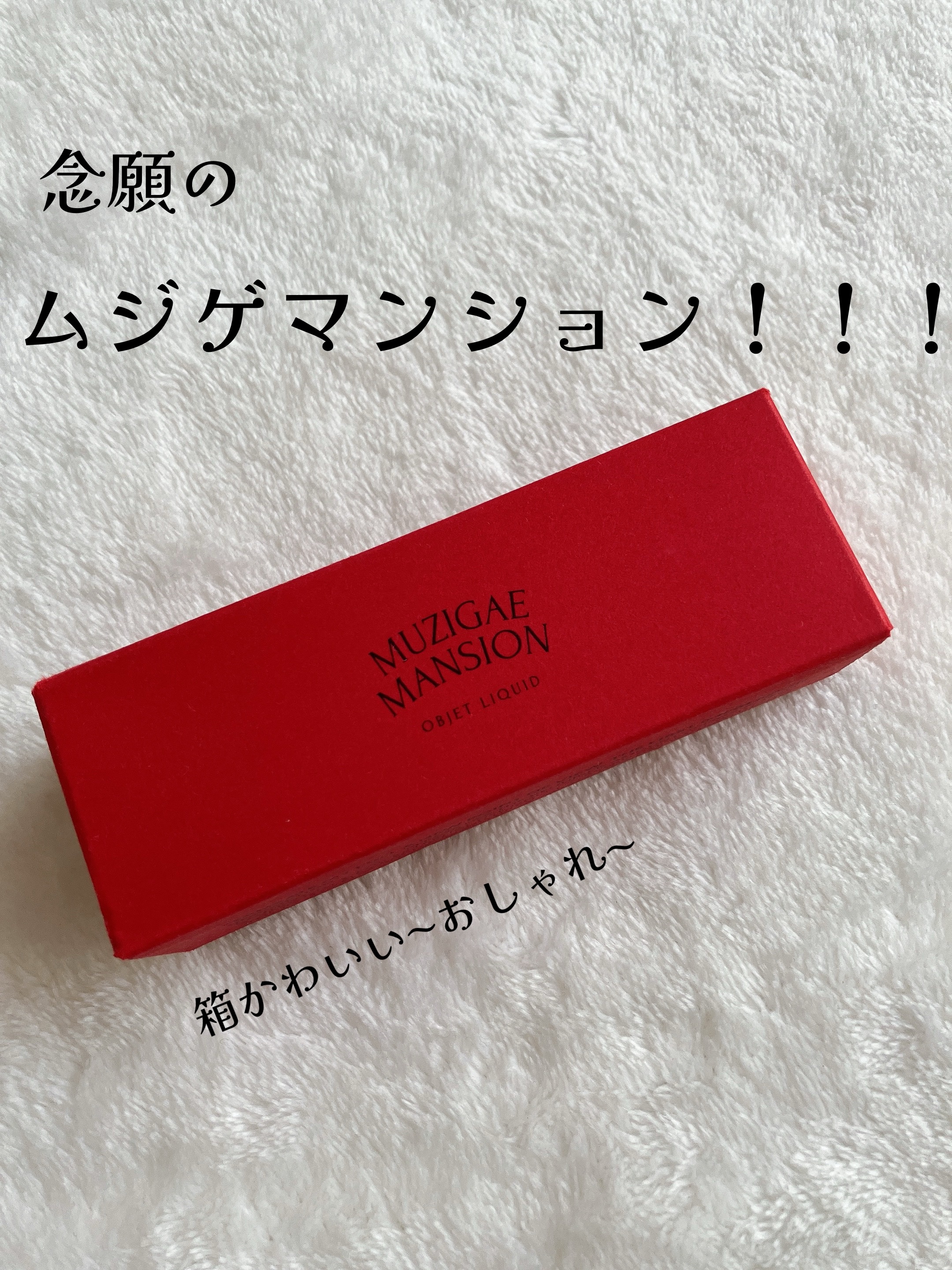 オブジェリキッド 010 Undone/MUZIGAE MANSION/口紅を使ったクチコミ（2枚目）