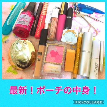 
こんばんはじゅりあです。

今月もコスメを無限に整理しました。終わった。(有限やん)


本日は外に持ち運ぶためのポーチの中身を紹介。長いと思われますが全部紹介します。

☆リップ以外のコスメ
#エレ