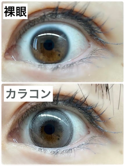 Angelcolor Bambi Series 1day /AngelColor/ワンデー(1DAY)カラコンを使ったクチコミ(3枚目)