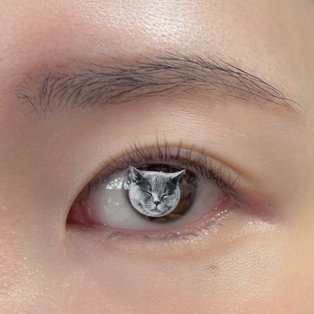 アーティスト アイラッシュ カーラー/ローラ メルシエ/ビューラーを使ったクチコミ（2枚目）