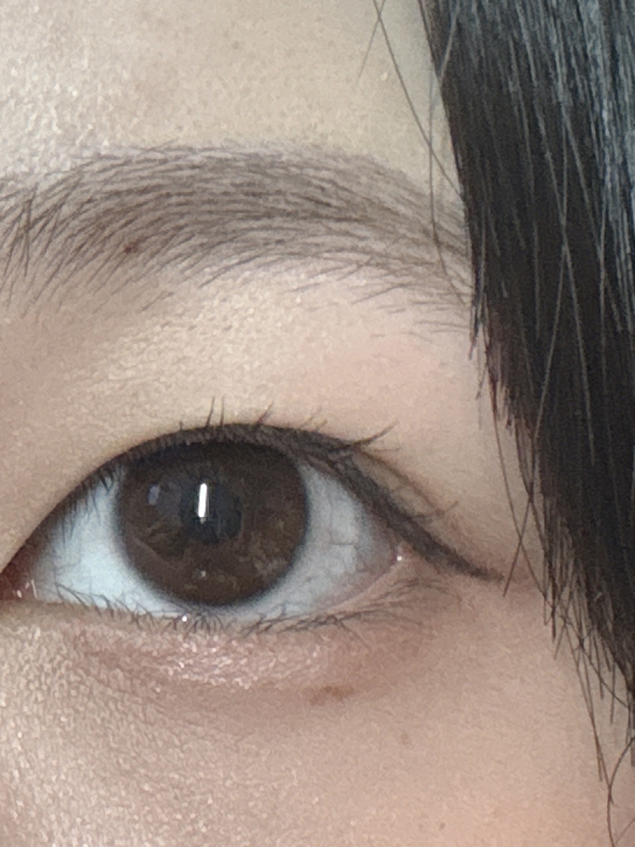 ハイパーリフトマスカラ/D-UP/マスカラを使ったクチコミ（2枚目）