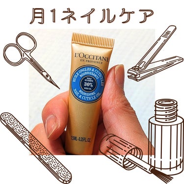 シア ネイルオイル/L'OCCITANE/ネイルオイル・トリートメントを使ったクチコミ（1枚目）