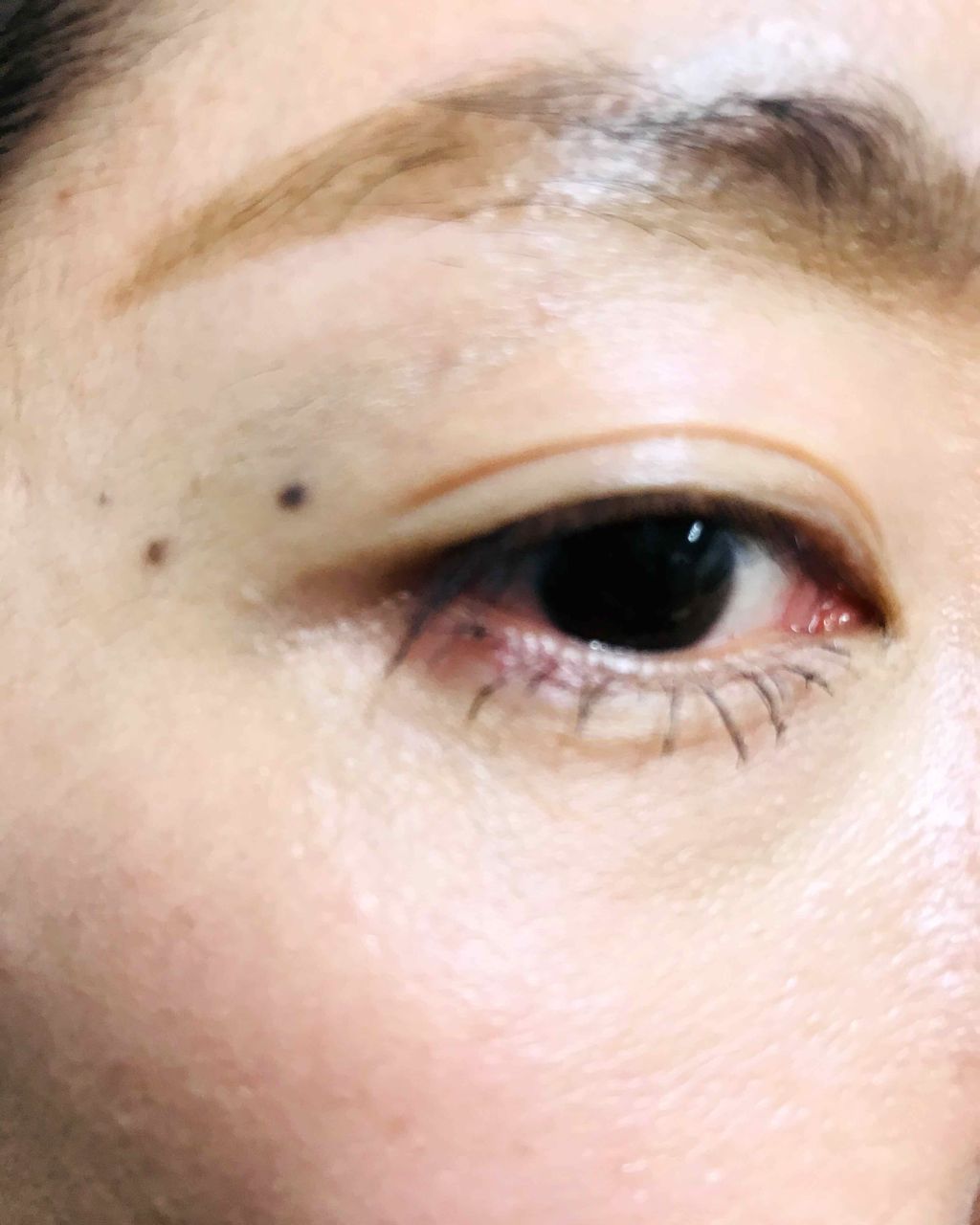 UR GLAM　DAILY CHEEK BLUSH/U R GLAM/パウダーチークを使ったクチコミ（2枚目）