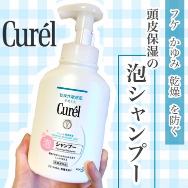 泡シャンプー 本体 480ml/キュレル/シャンプー・コンディショナーを使ったクチコミ（1枚目）