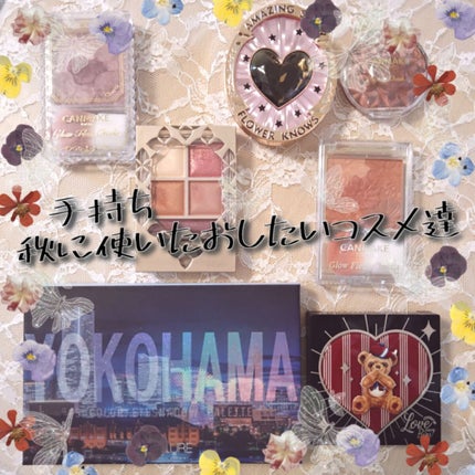 GO TRAVEL 15色アイシャドウパレット/FOCALLURE/アイシャドウパレットを使ったクチコミ(1枚目)