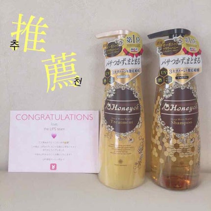 ãã£ãŒãã¢ã€ã¹ããªã㢠ã·ã£ã³ããŒïŒããªãŒãã¡ã³ã/ãããŒãã§/åžè²©ã·ã£ã³ããŒã䜿ã£ãã¯ãã³ãïŒ1æç®ïŒ