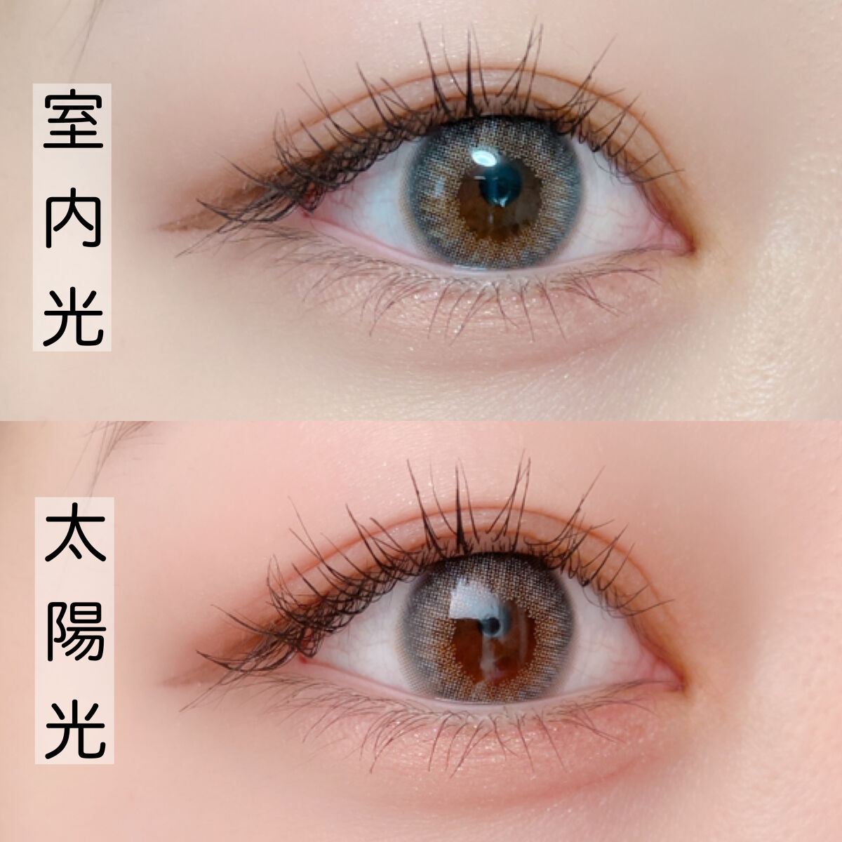 MOLAK 1day/MOLAK/ワンデー（１DAY）カラコンを使ったクチコミ（2枚目）