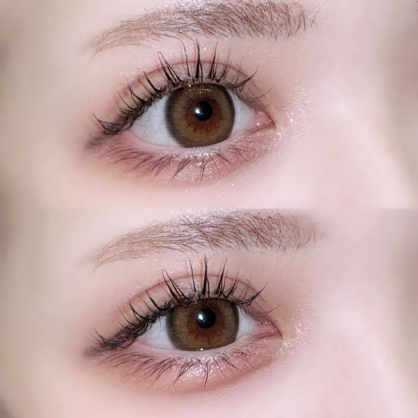 melady 1day ヒロインブラウン/melady/ワンデー（１DAY）カラコンを使ったクチコミ（3枚目）