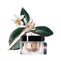 YVES SAINT LAURENT BEAUTEのフェイスクリーム