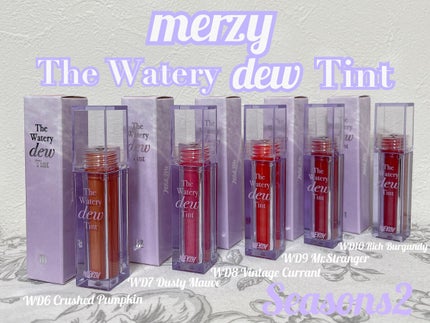 ザ ウォータリーデューティント/MERZY/リップティントを使ったクチコミ(1枚目)