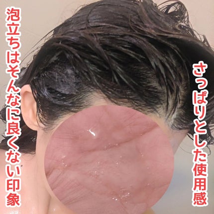 SHAMPOO & REPAIR/MEDULLA/市販シャンプーを使ったクチコミ(2枚目)