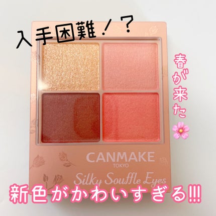 シルキースフレアイズ(マットタイプ)/キャンメイク/アイシャドウパレットを使ったクチコミ(1枚目)