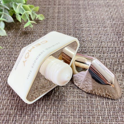 エキスパート ディフェンス/CEMOY/日焼け止めクリームを使ったクチコミ(2枚目)