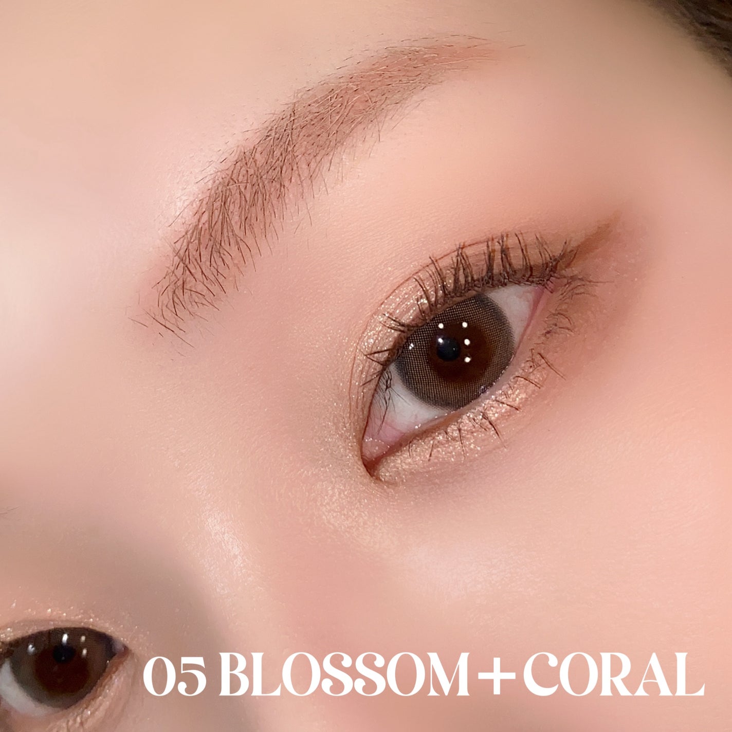 目元チュートリアルアイパレット/Colorgram/アイシャドウパレットを使ったクチコミ(9枚目)