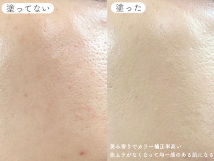 プロテーラービーベルベットカバークッション/espoir/クッションファンデーションを使ったクチコミ(5枚目)