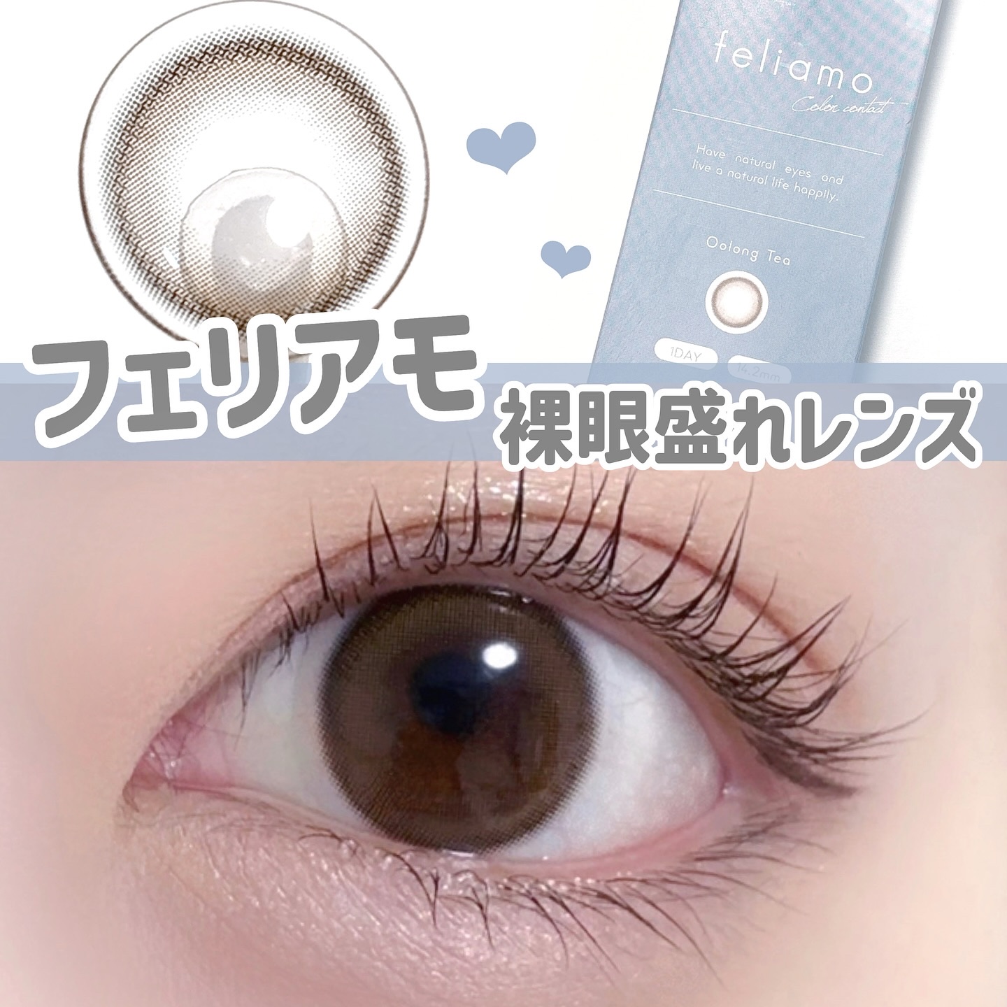 feliamo 1day/feliamo/ワンデー（１DAY）カラコンを使ったクチコミ（1枚目）