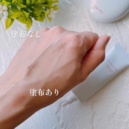 クラリティブラン サーフェイサー/ALBLANC/化粧下地を使ったクチコミ(4枚目)