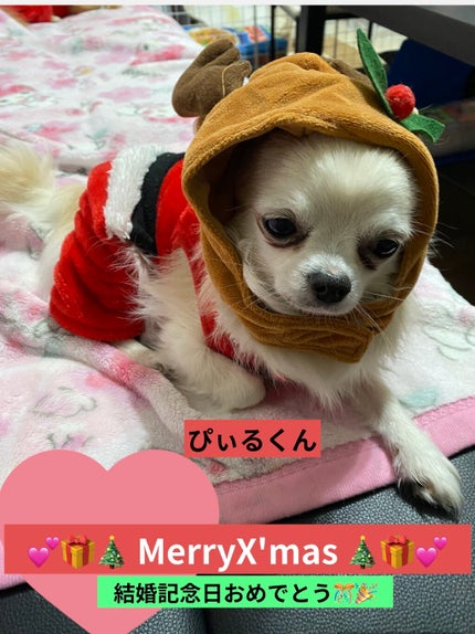 ロートリセ(医薬品)/ロート製薬/その他を使ったクチコミ(5枚目)