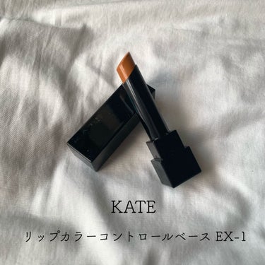 リップカラーコントロールベース /KATE/リップケア・リップクリームを使ったクチコミ（1枚目）