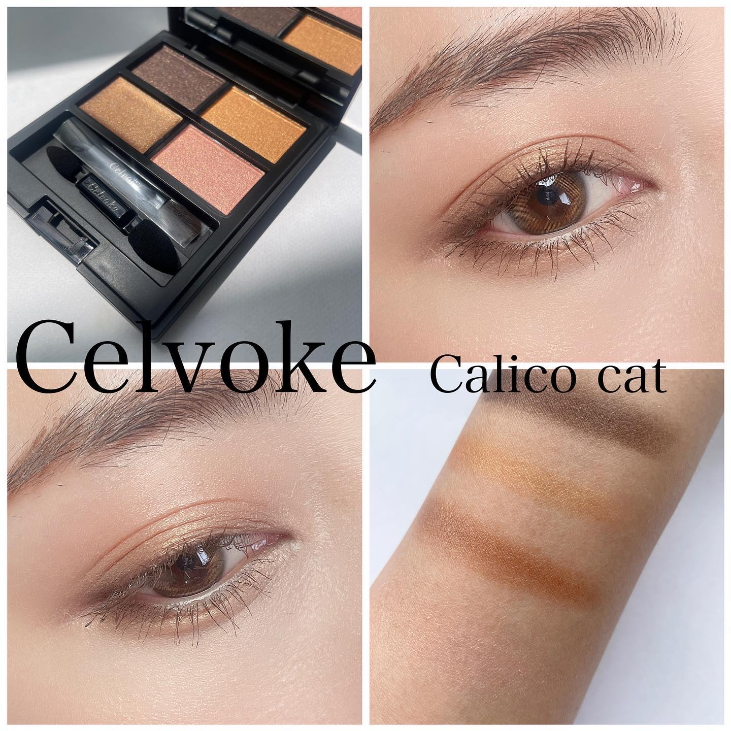 秋コレパレット最初はCelvokeに💗

ブラウンけどが豊富な今年、何かキャメル〜ブラウン系を買うぞと意気込んでたところに目に入って一目惚れしたこちらのパレット💗

Celvoke ヴァティック アイパレット
EX05 Calico C