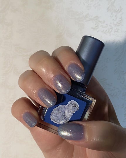 ネイルエス/ nail S(ネイルエス) /マニキュアを使ったクチコミ(1枚目)