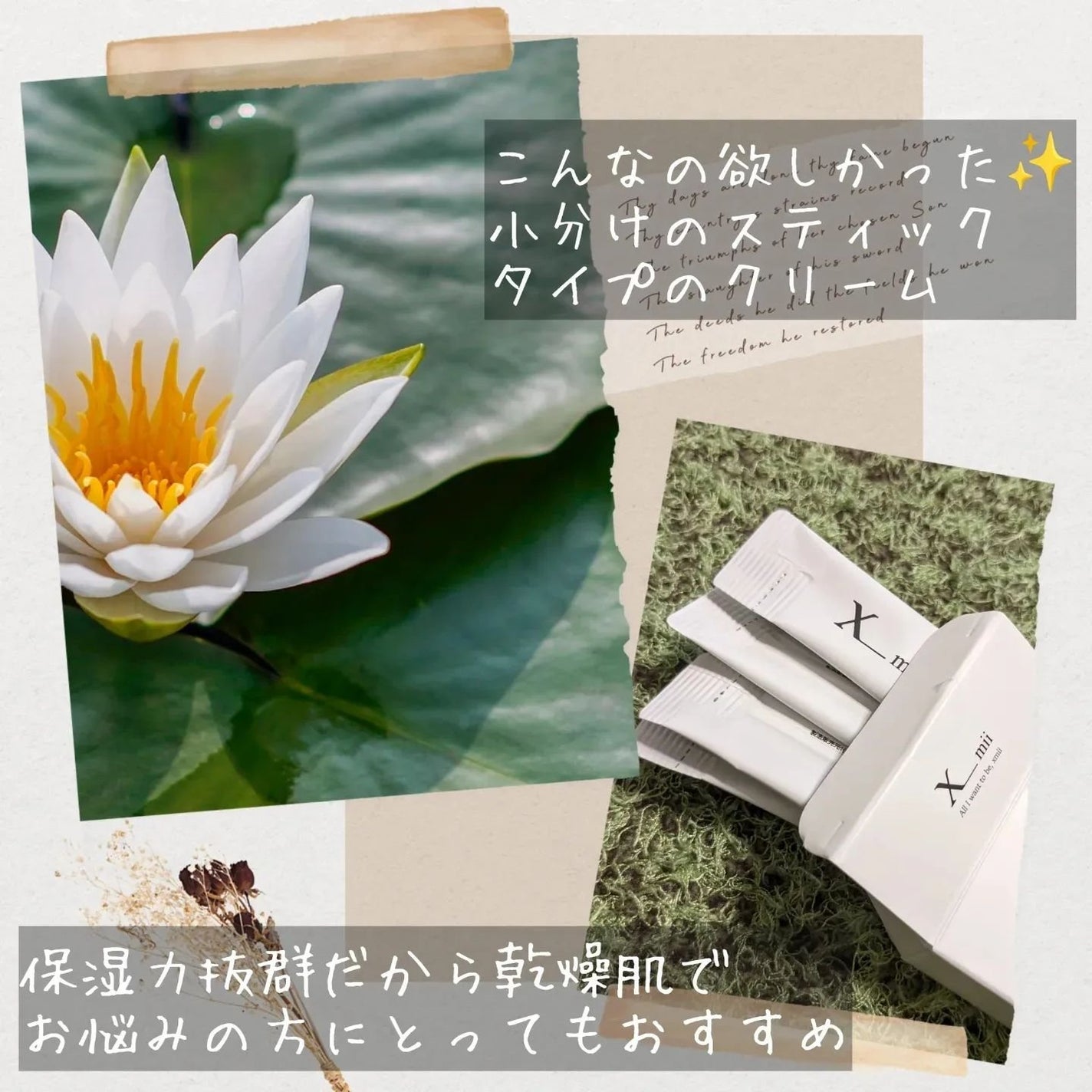 シルキーエアリーSooクリーム/xmii/フェイスクリームを使ったクチコミ(6枚目)