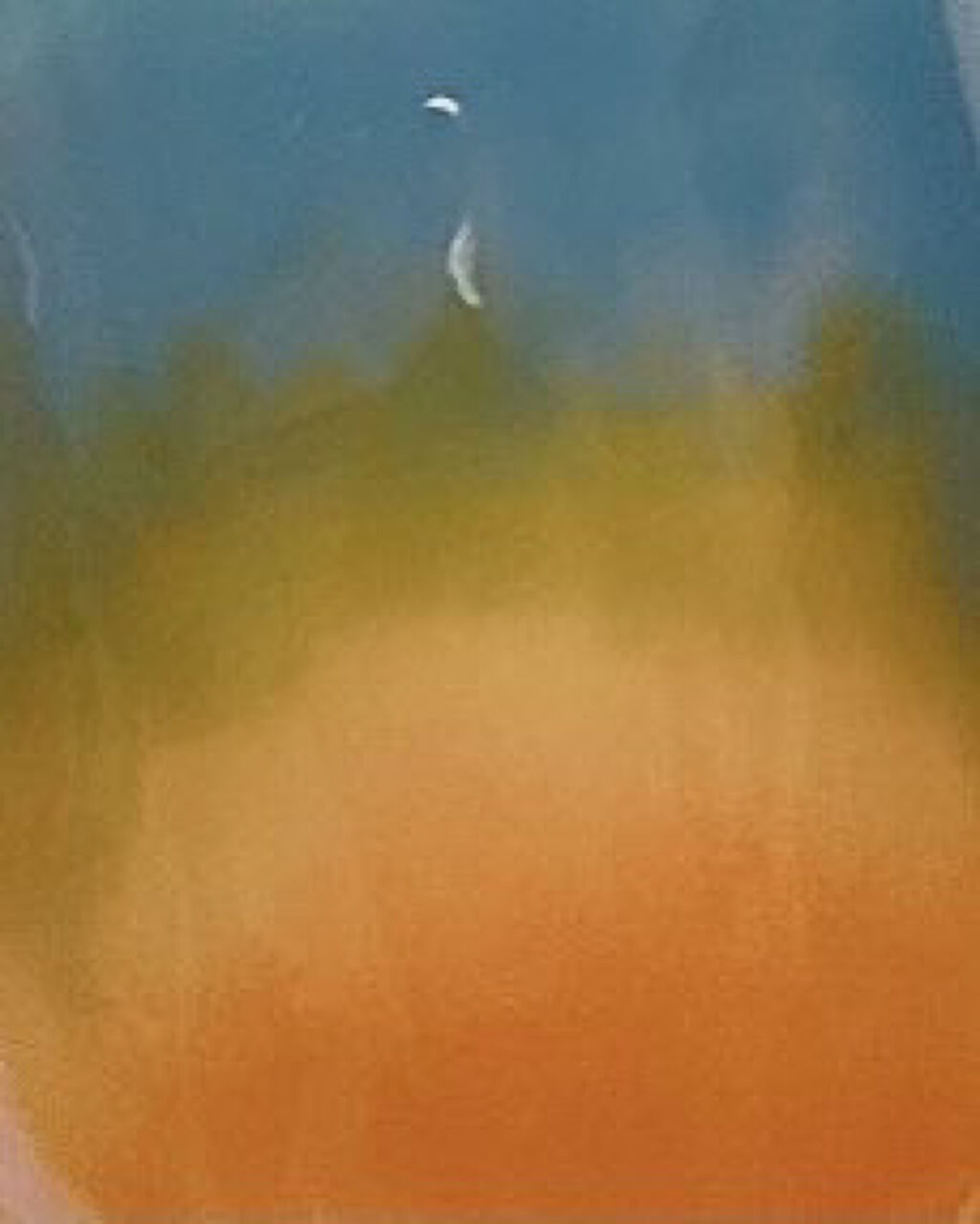 ネイルカラー S019 foggy lake/noiro/マニキュアを使ったクチコミ（2枚目）