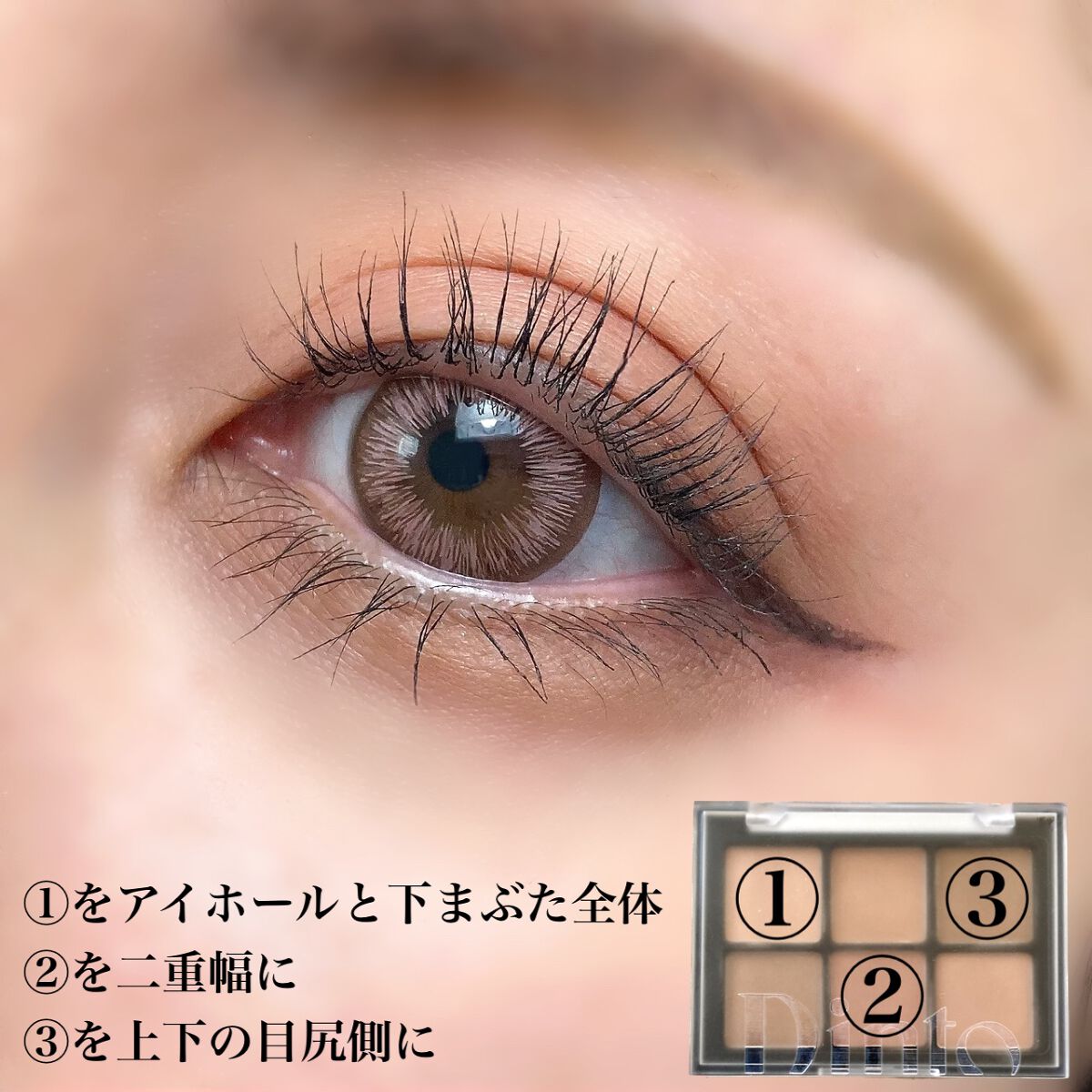 ブラーフィニシュシャドウパレット/Dinto/アイシャドウパレットを使ったクチコミ(10枚目)